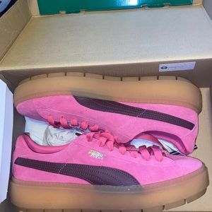 Platform pumas